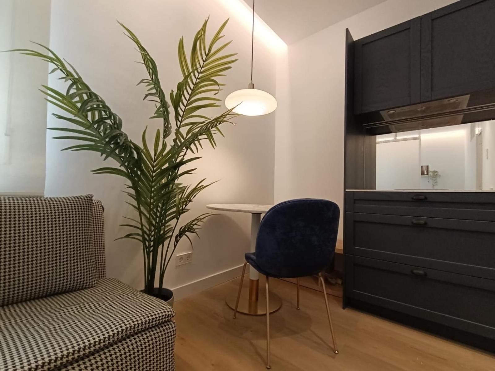 Apartment Studio Chamberi *